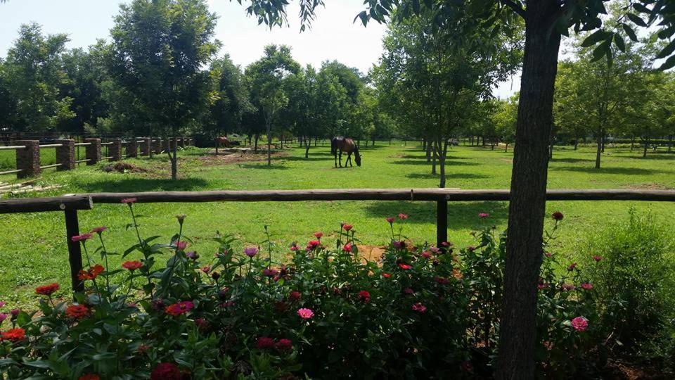 Green Willows Guest House Skeerpoort المظهر الخارجي الصورة